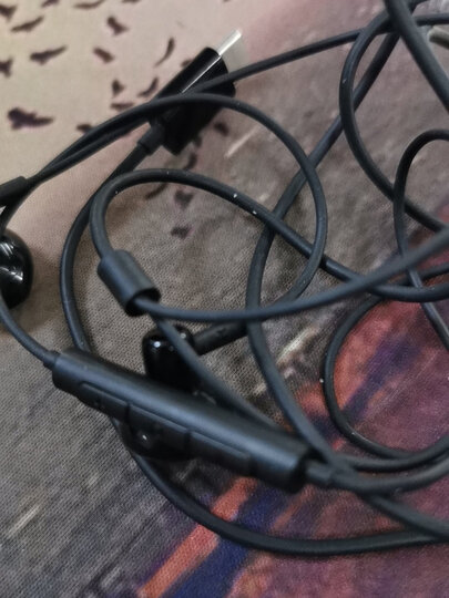 锤子smartisan s10畅听耳机:"锤子(smartisan) s10 半入耳式 type-c