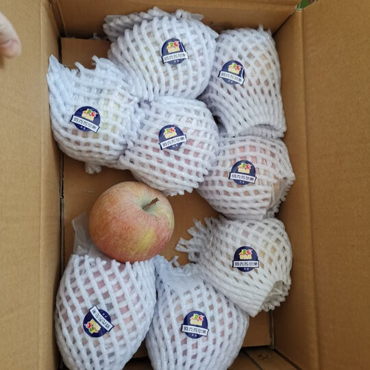 阿克苏苹果热评榜