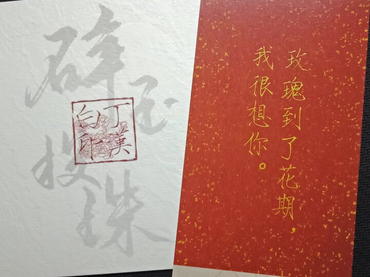 北南老师的签名太好看啦!