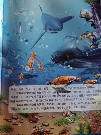 超喜爱的百科全书:海底世界揭秘/儿童科普百科全书少儿课外读物(精装