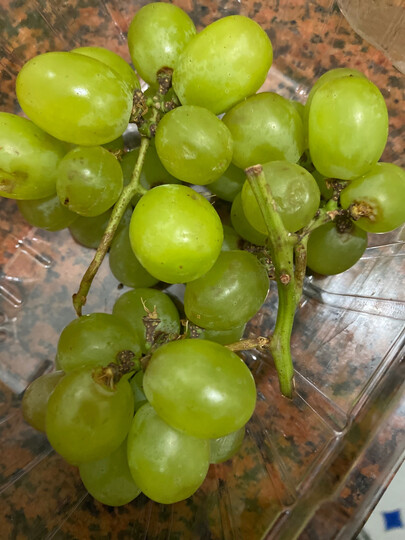 提子已经坏了&hel.