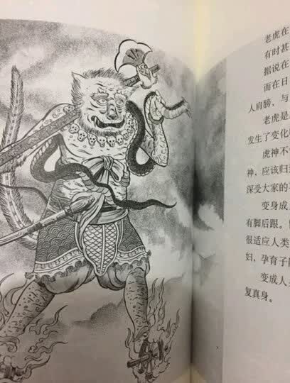 《封神演义》之类的神话故事,自然就不能错过这本《妖怪大全》啦,特别