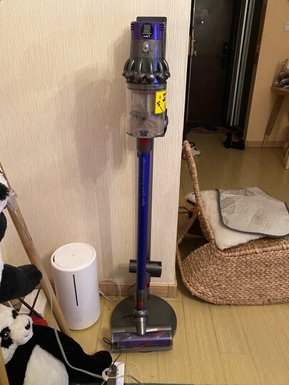 戴森v10 motorhead origin:"太好用了养猫家族必备啊吸了好多的毛和灰