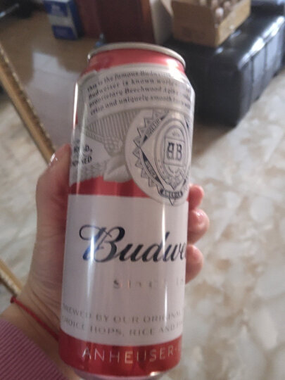 百威啤酒:"喝着可以 口感好 包装简单 很好" - 京东