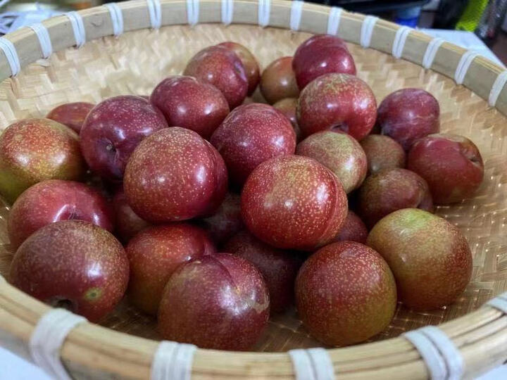 这个早熟的三华李,品质算是最好的了,买了几家店,这家店品质最好了,是