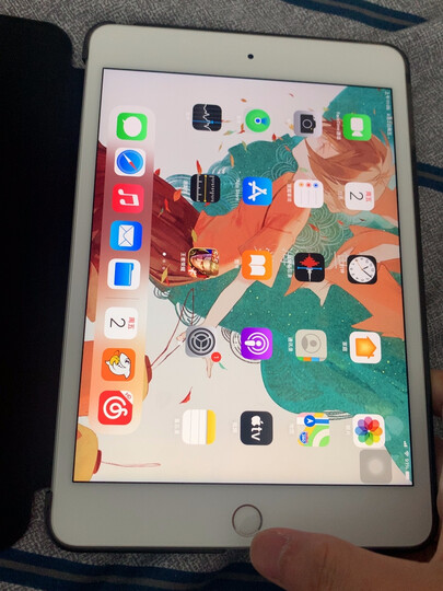appleipad mini(第五代):"7.
