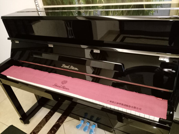 珠江钢琴珠江钢琴(pearlriver)c1:"买钢琴还是买知名品牌好一点 不会