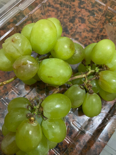 提子已经坏了&hel.