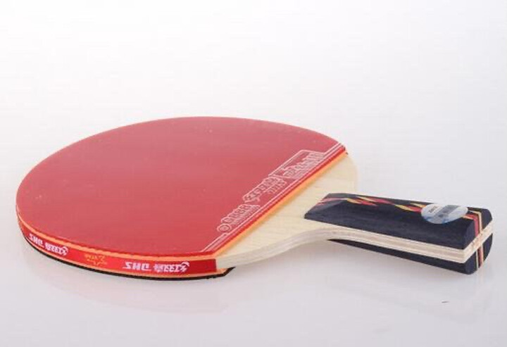 红双喜直拍双面反胶乒乓球拍弧圈结合快攻6星送新软体弹力拍套x6006:"