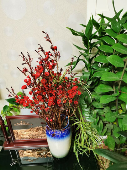 澳洲进口腊梅1扎3-10枝:"第一次在网上购买鲜花,从昆明到我们家,几