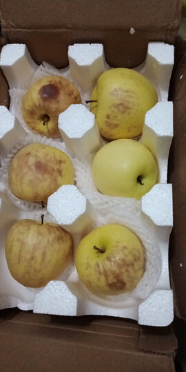 生鲜 水果 苹果 沙窝曙光(shawoshuguang)  沙窝曙光(shawoshuguang)