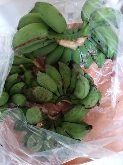 生鲜 水果 香蕉 水果蔬菜  水果蔬菜 商品评价  小米蕉收到了,里边有.