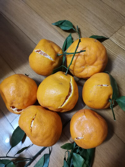 粑粑柑收到了,水分多,甜度可以,送来的有好几个都压坏了,拍了照片过去