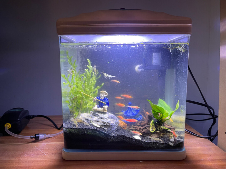 松宝(sobo)鱼缸氧气泵:"前几天新买了十条鱼,密度太高鱼们都不活跃了