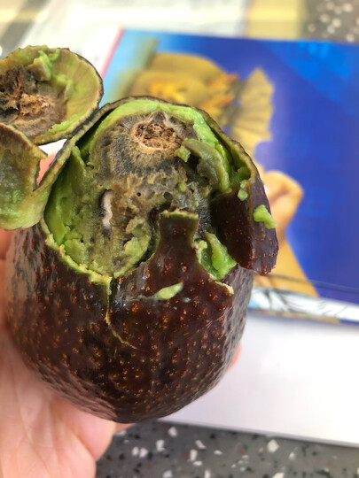 京觅进口牛油果:"坏了的" - 京东