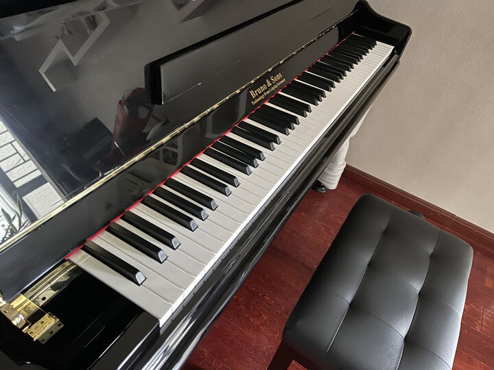 玩具乐器  键盘乐器  钢琴 bruno122  bruno122 商品评价  周年 买给