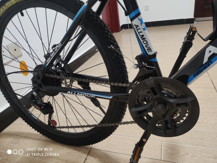 icolour:"非常好的网购体验,首先从自行车的性价比来说,?