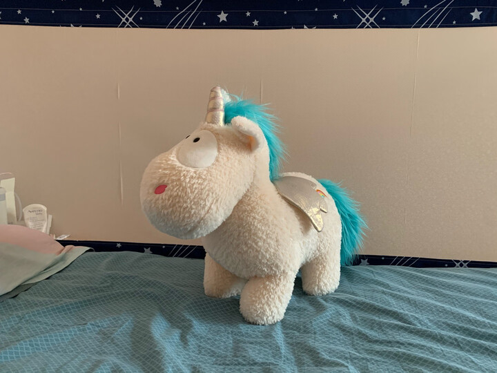 nici40108:"这款独角兽毛绒玩具,材质柔软舒适,做工精良,品质一流