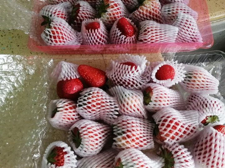 蒙自石榴(mengzishiliu):"草莓?