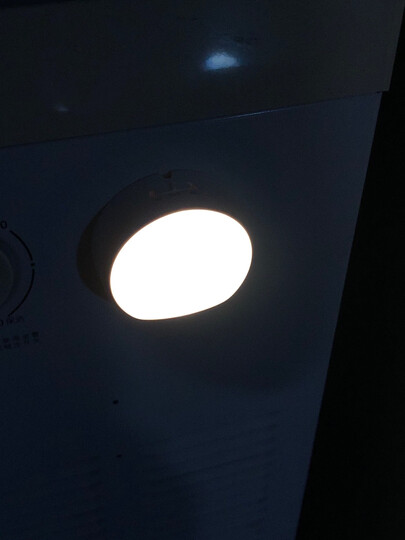 东西手掌大小,但是很.