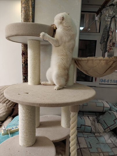 感觉买这个猫爬架我比.