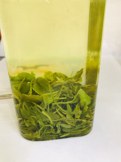 毛尖绿茶热评榜