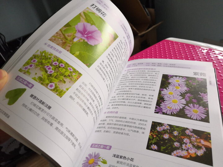 养花入门指导手册 家庭花卉种植养殖 养花书 养花百科全书 栽培管理