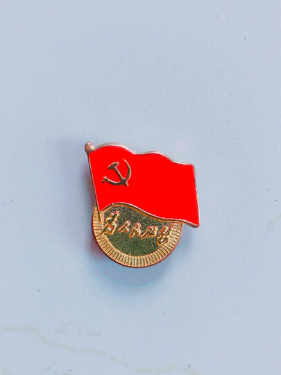 易利丰 镀金标准党徽胸章 党员新徽章 党员徽章 【加厚款厚2mm】双面