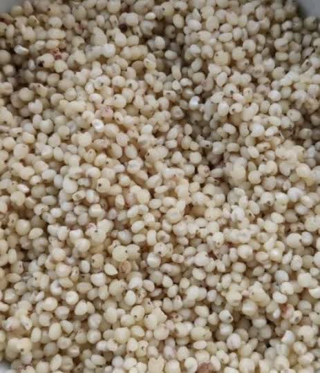 5kg:"高粱米属于粗粮,主要营养成分,含有粗蛋白质,粗脂肪,碳水化合物