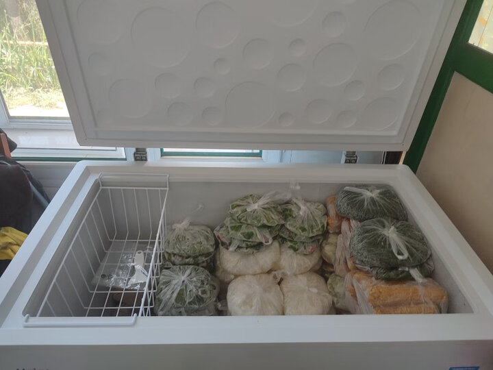 海尔(haier)318升节能家用商用家用冰柜 冷藏柜冷冻柜冰柜家用冰箱大