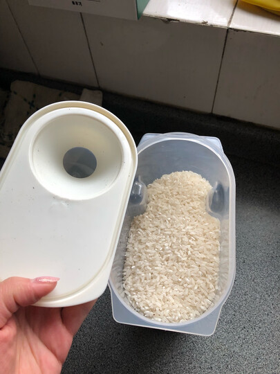 和匠(worldlife) 日本塑料密封米桶杂粮储物罐2kg 防虫防潮米箱米缸