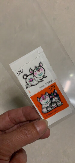 马甸藏品:"2019年猪年邮票值得拥有与收藏" - 京东