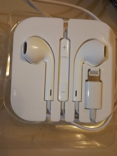 毕亚兹 苹果12耳机 有线lightning扁头入耳式线控耳机带麦克 适用