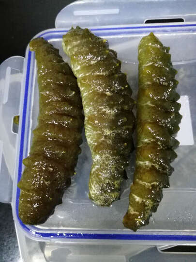 好美参:"货品收到了,和图片一样,以前买过的质量可以,商家讲信用,及时