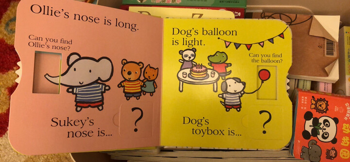 英文原版绘本低幼认知启蒙翻转书my little book of opposites关于