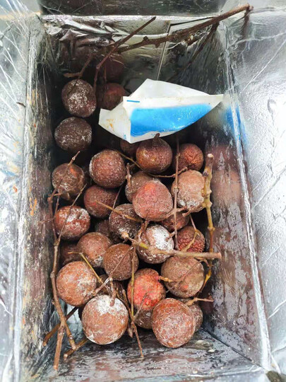 这就是荔枝吗,全坏了.