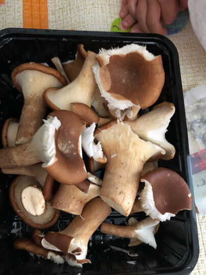 菌香园猪肚菇:"快递比较慢比较慢比较慢赶上个618 早早下单的就给推后