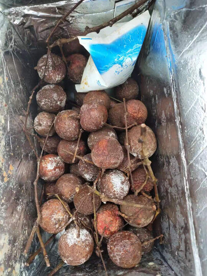 这就是荔枝吗,全坏了.