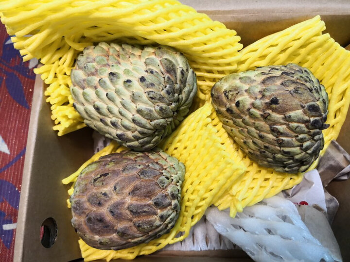 树懒果园 泰国进口大目释迦果水果 2个 单果400-550g这是刚收到的货