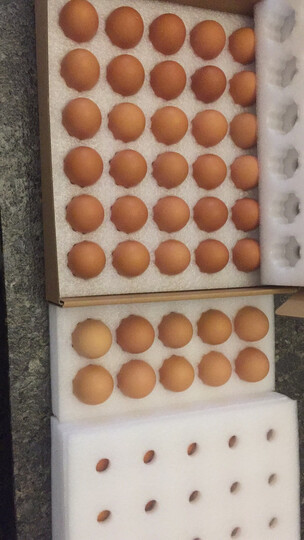 兰皇兰皇鸡蛋10枚:"包装很好,个头均匀,新鲜,不错." - 京东