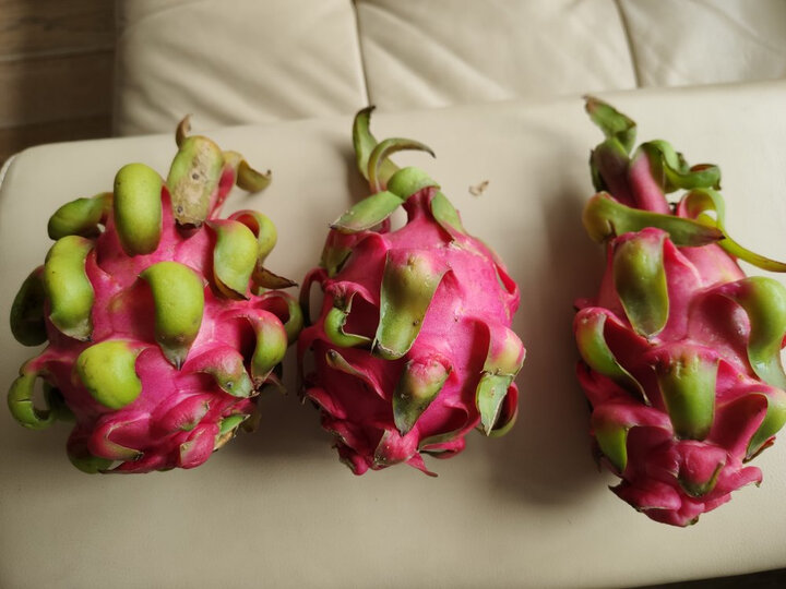 [晒单帖]这次买的火龙果明显不如上次,偏小,目前吃.