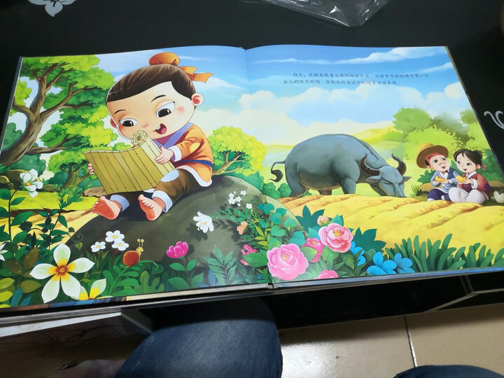 凿壁借光/画话中国传统文化绘本:"买了两本书,今天上午下单,下午就到