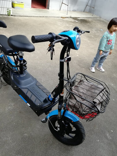 摩托车/电动车  电动车  电动自行车  凤凰(phoenix)tdt001z  凤凰