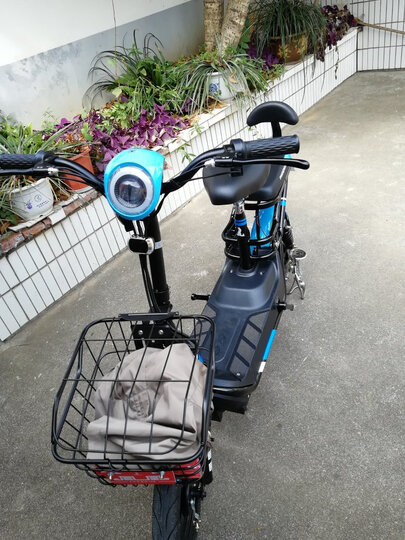 摩托车/电动车  电动车  电动自行车  凤凰(phoenix)tdt001z  凤凰