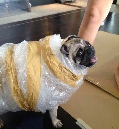 举报    |             分享            