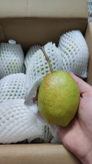 [晒单帖]香梨非常新鲜,还没有吃不知道甜不甜