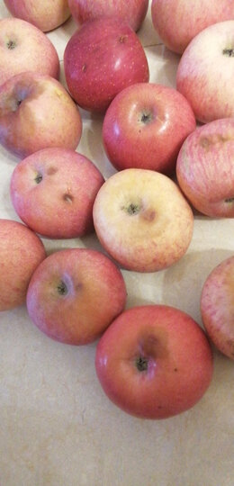 全是烂苹果&hellip;&hellip