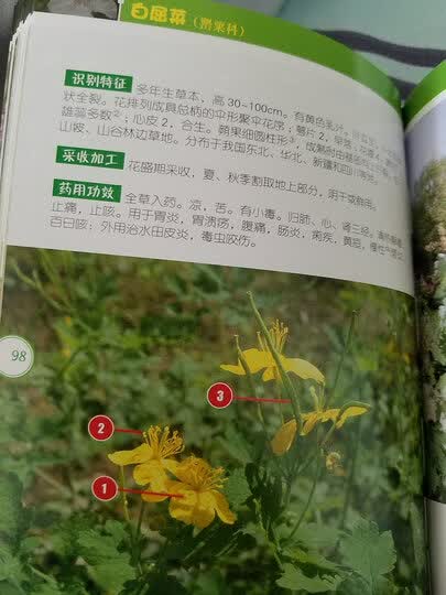600种中草药野外识别高清图谱:"这本书由北京中医药大学的中药专家