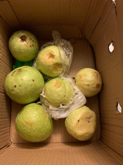 [晒单帖]全烂了,发货9天到我手里,真不知道商家怎.