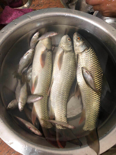 北溟鱼:"这已经是第三根他们家的杆子了,总体来说还是不错的,够硬